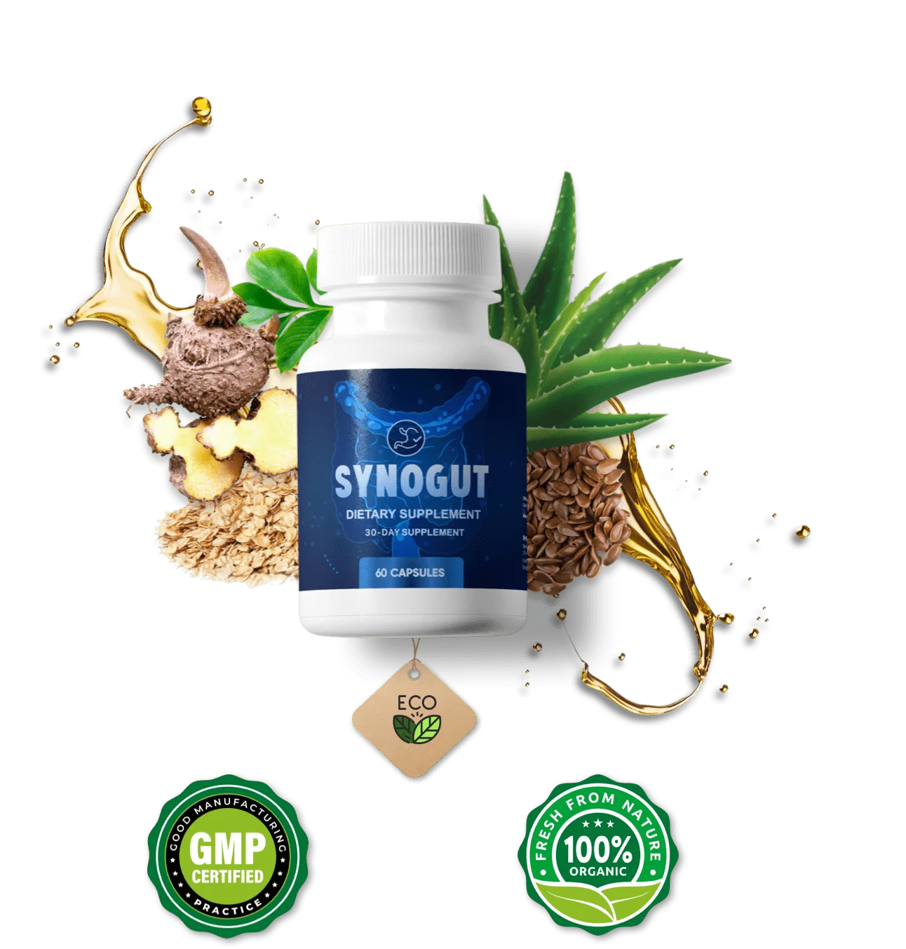 Synogut Gut Health Supplement
